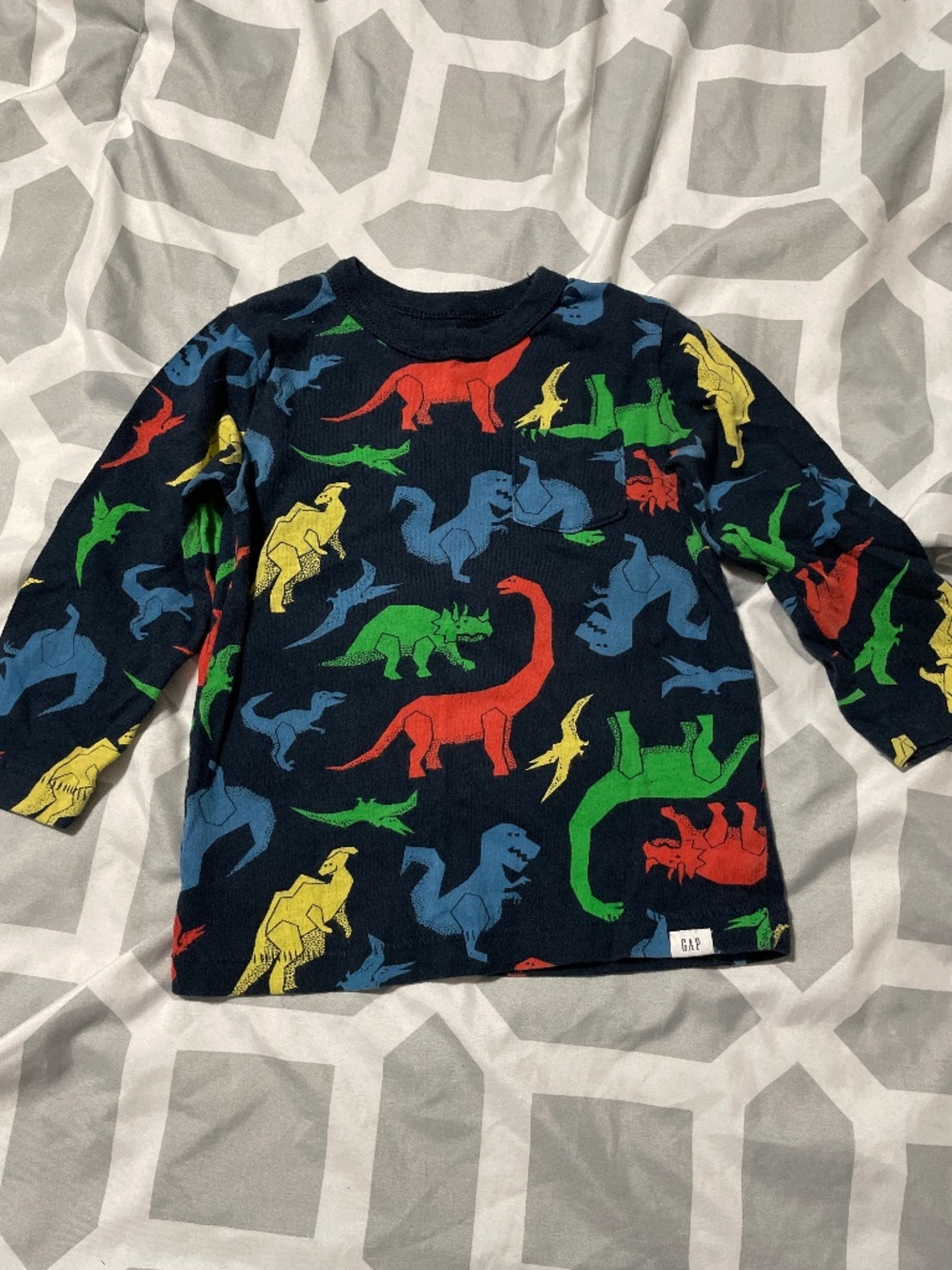 Dinosaur long sleeve